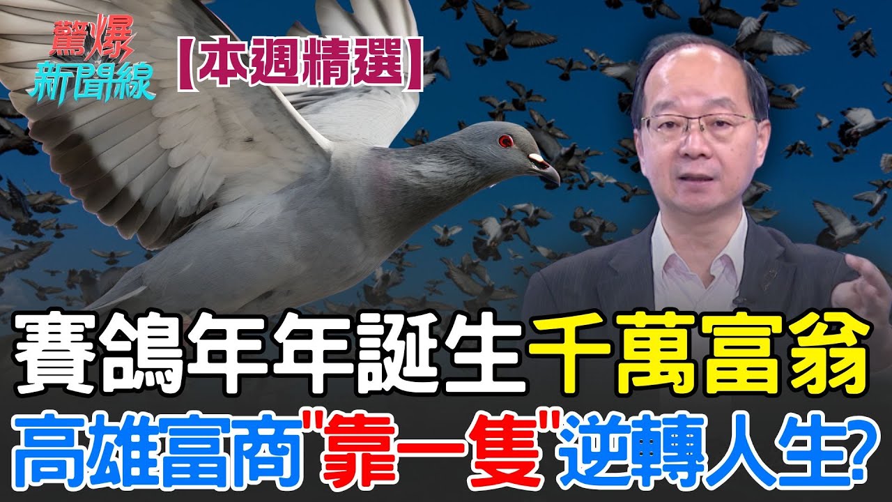 【本週精選】另類台灣之光？賽鴿年年誕生千萬富翁 比股市還好賺？高雄富商「靠一隻」逆轉人生？│【驚爆新聞線】│三立新聞台