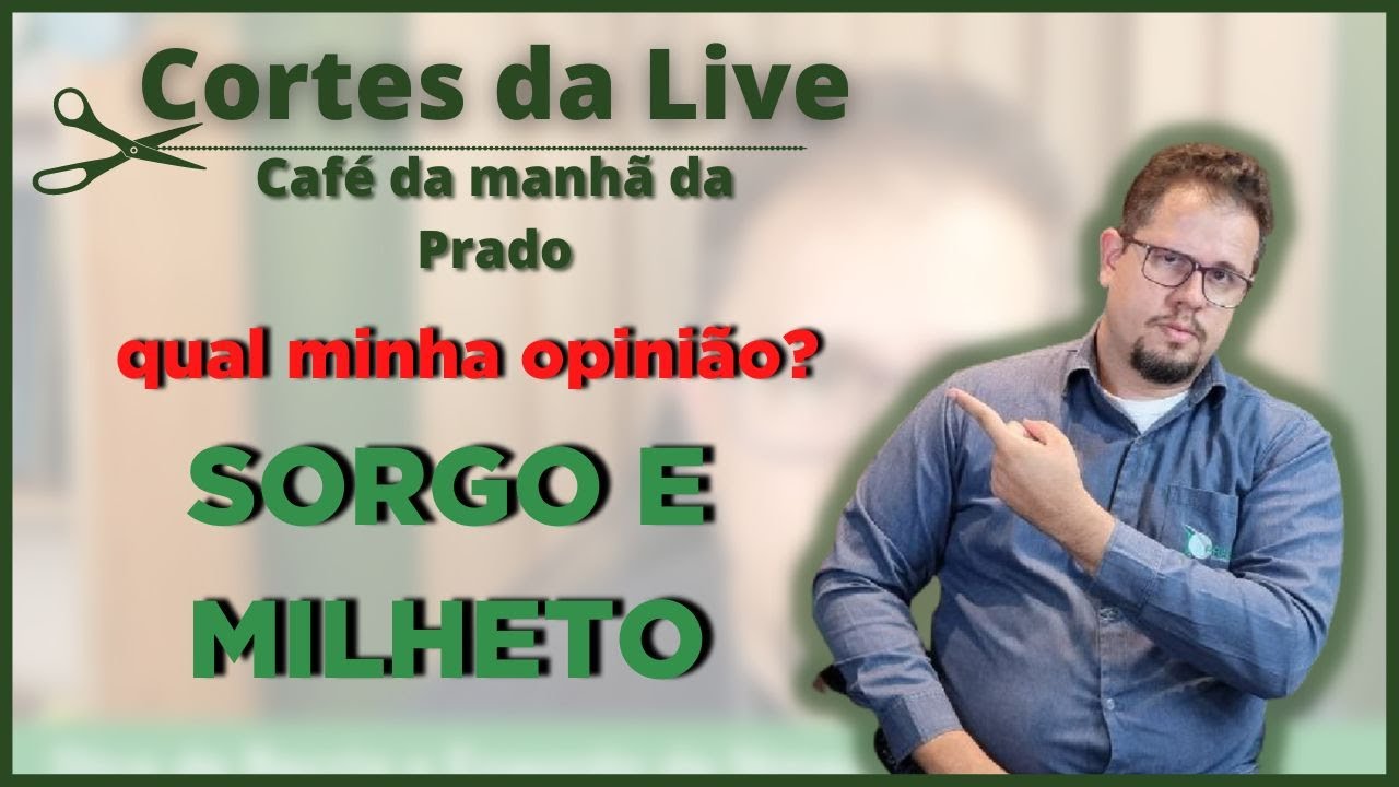 6 ingredientes para SUBSTITUIR O MILHO na RA&Ccedil;&Atilde;O DO GADO