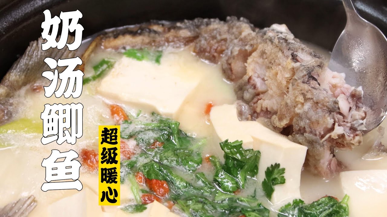 【奶汤鲫鱼】怎么样才能做出来奶白的鲫鱼汤？| 隋卞一做  @ChefSui  特厨隋卞