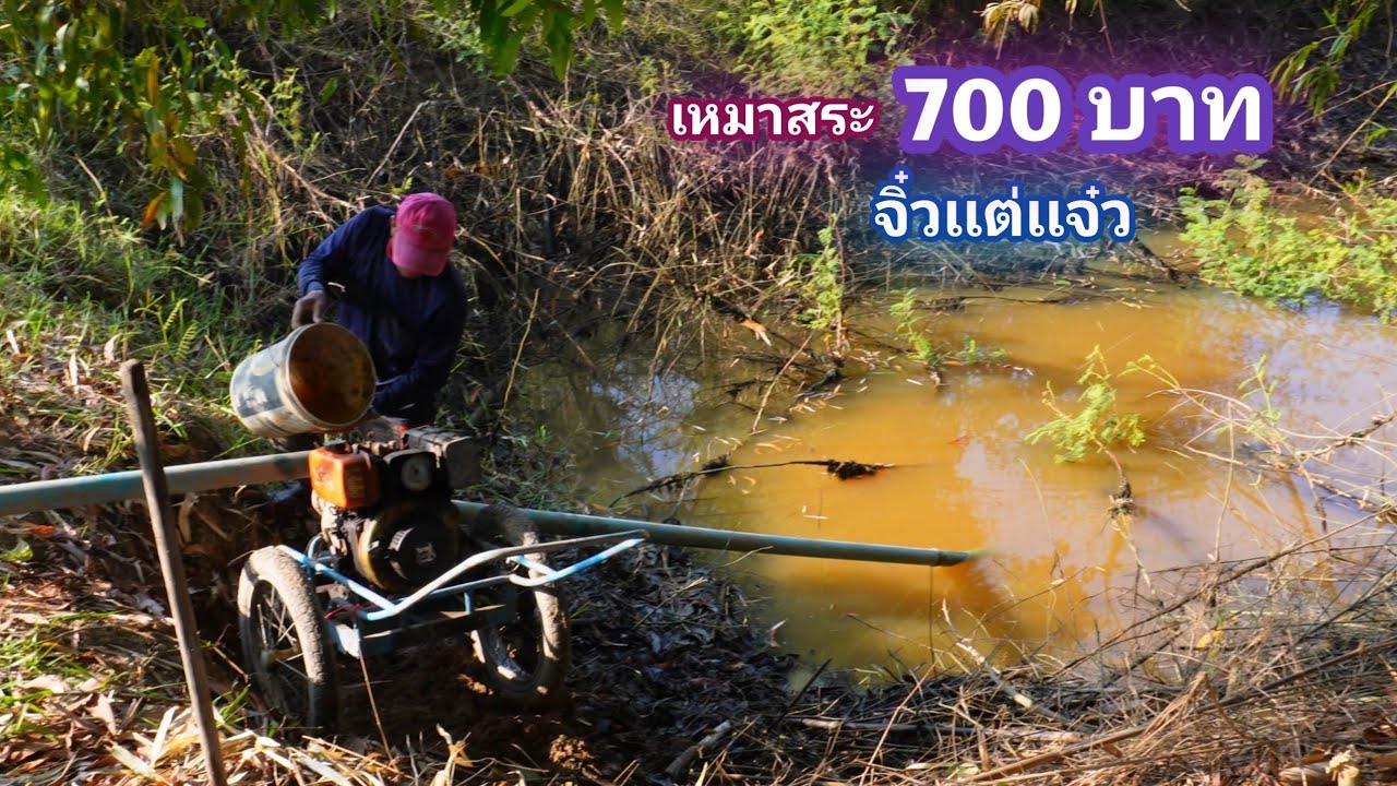 เหมาสระ 700 บาท จิ๋วเเต่เเจ๋ว บอกเเล้วสระนี้ไม่ธรรมดา / บ้านนอก EP.850