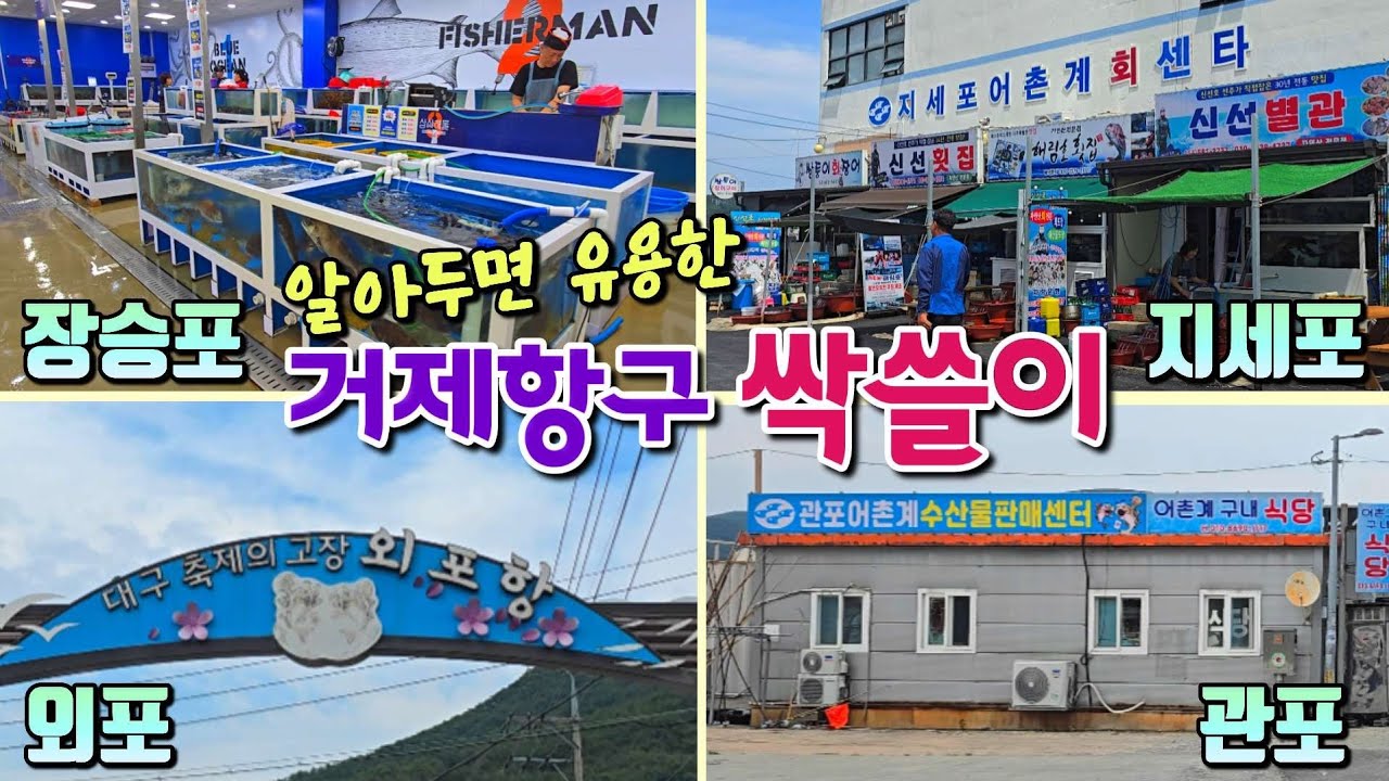 33시간안에 바다에서 식탁까지~ 거제의 4포 위판장과 항구들