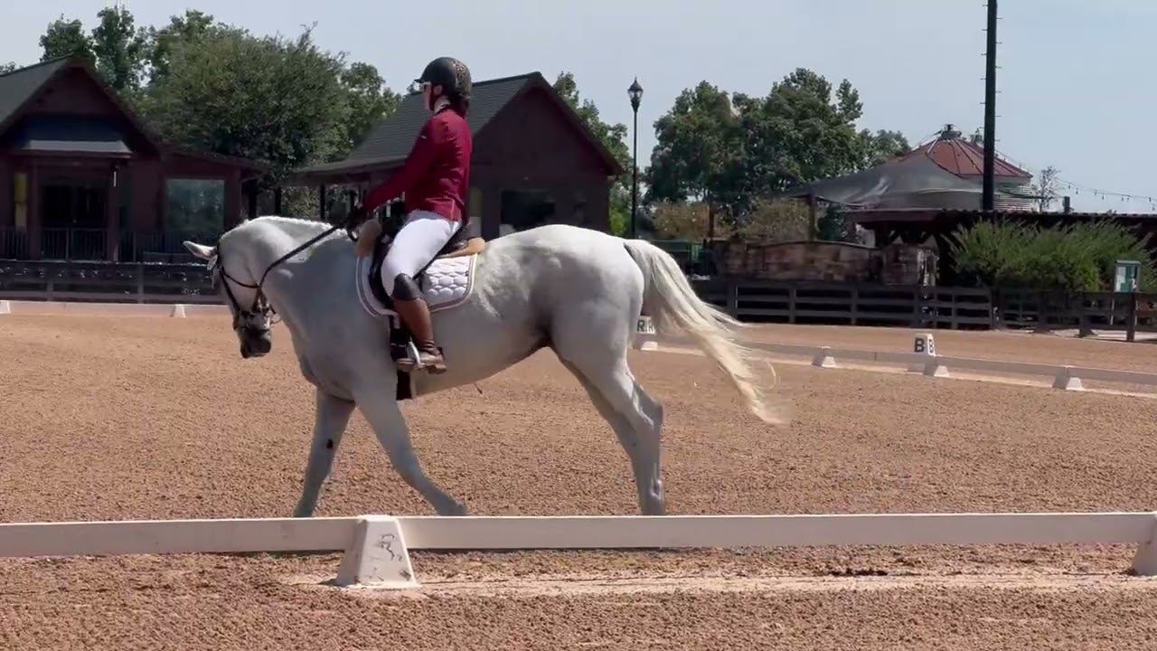 Donatella 9/14/25 first level TIEC