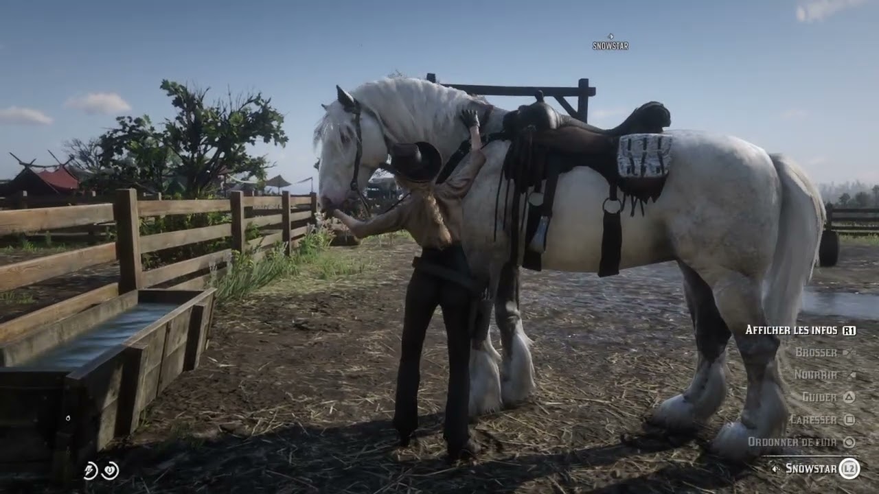 Red Dead Redemption 2_20250814090522