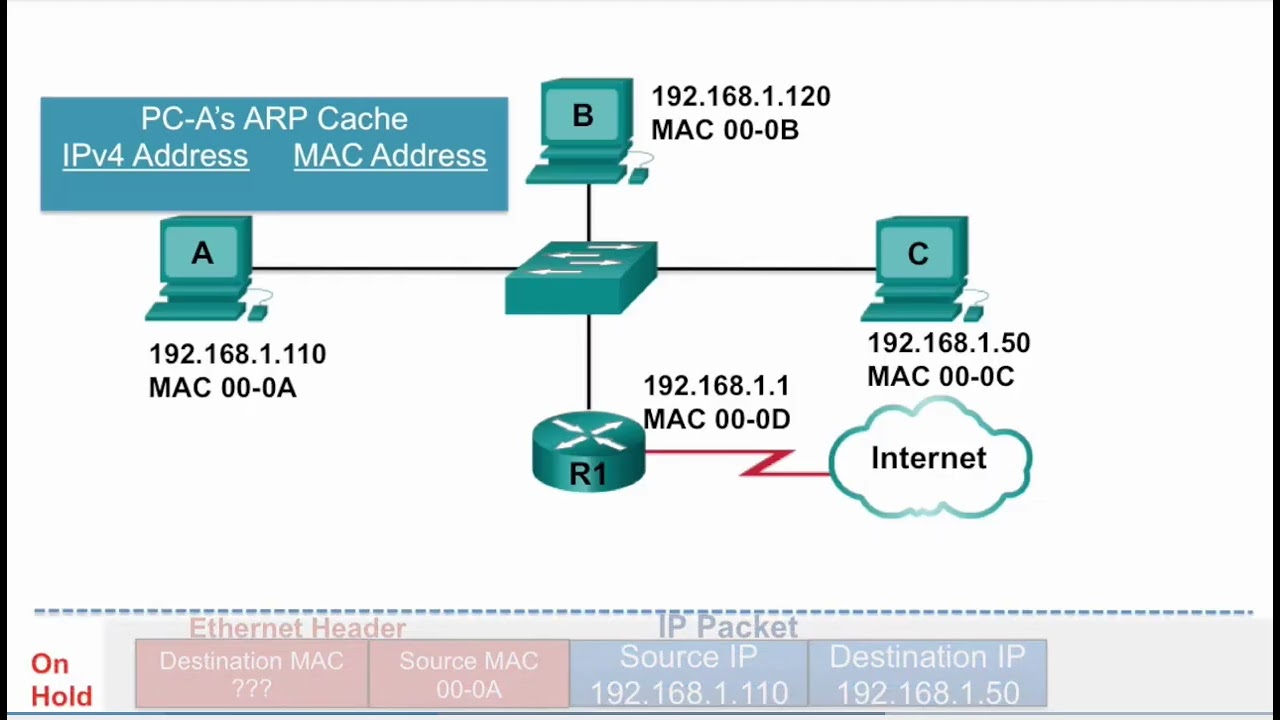 ARP Operation   ARP Request