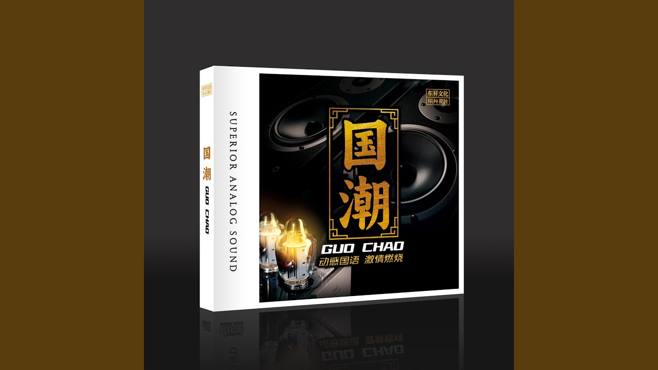 你的样子 (DJ默涵版)