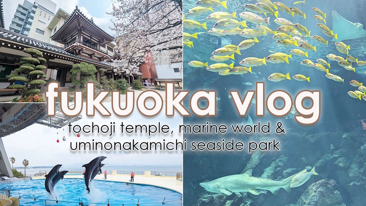 FUKUOKA VLOG | Marine World, Uminonakamichi Seaside Park, Tochoji Temple | Pt2