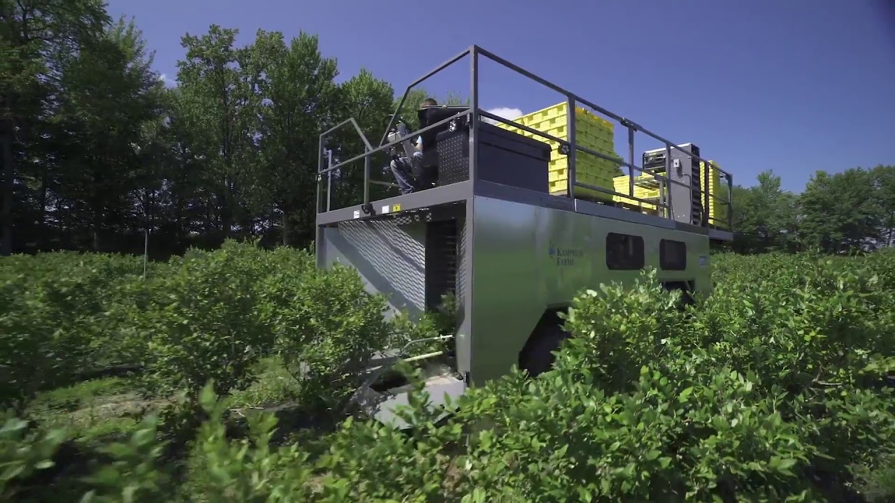 Plant Sap Analysis by NEWAGE Laboratories