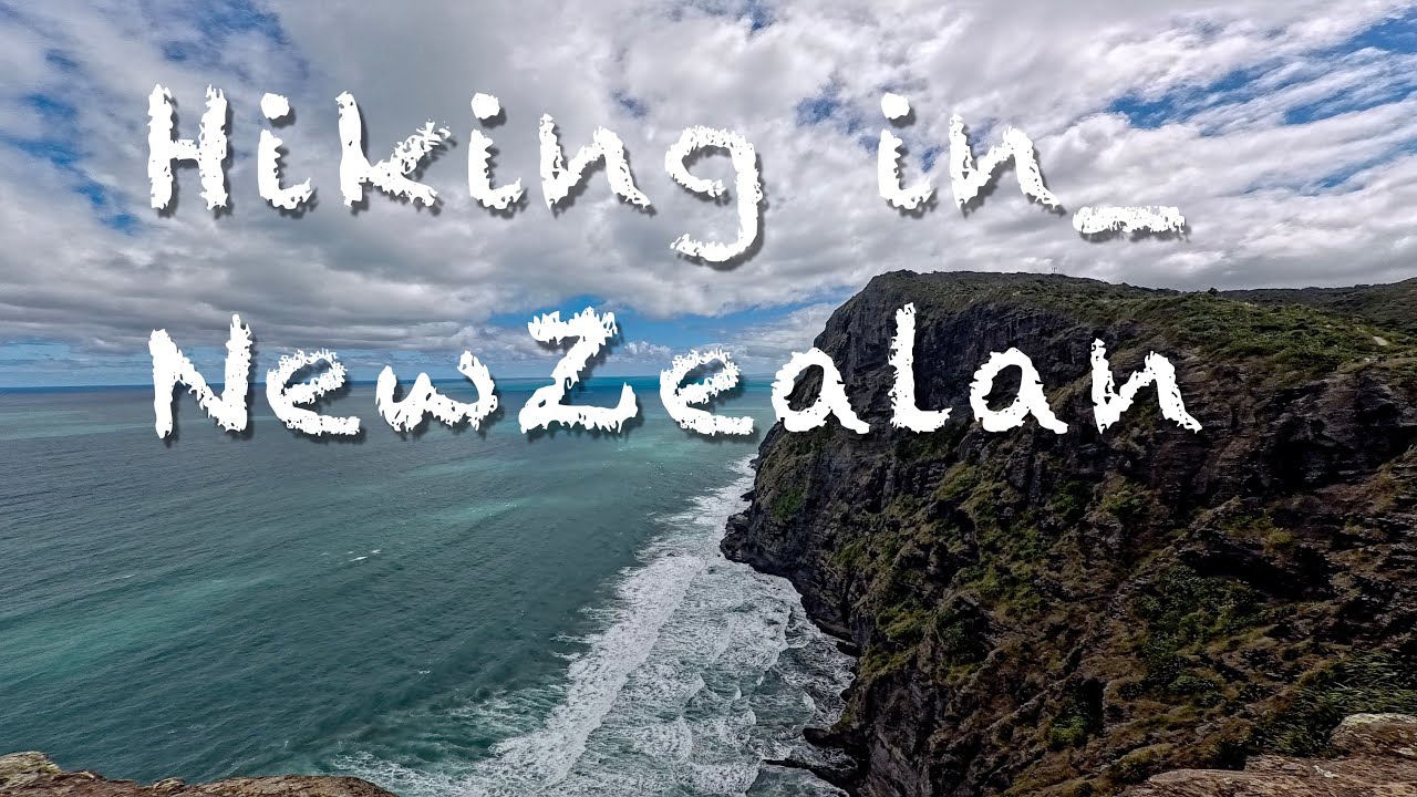 Bush walk in New Zealand 🇳🇿 | Pure Nature Sounds (No Music Ending)