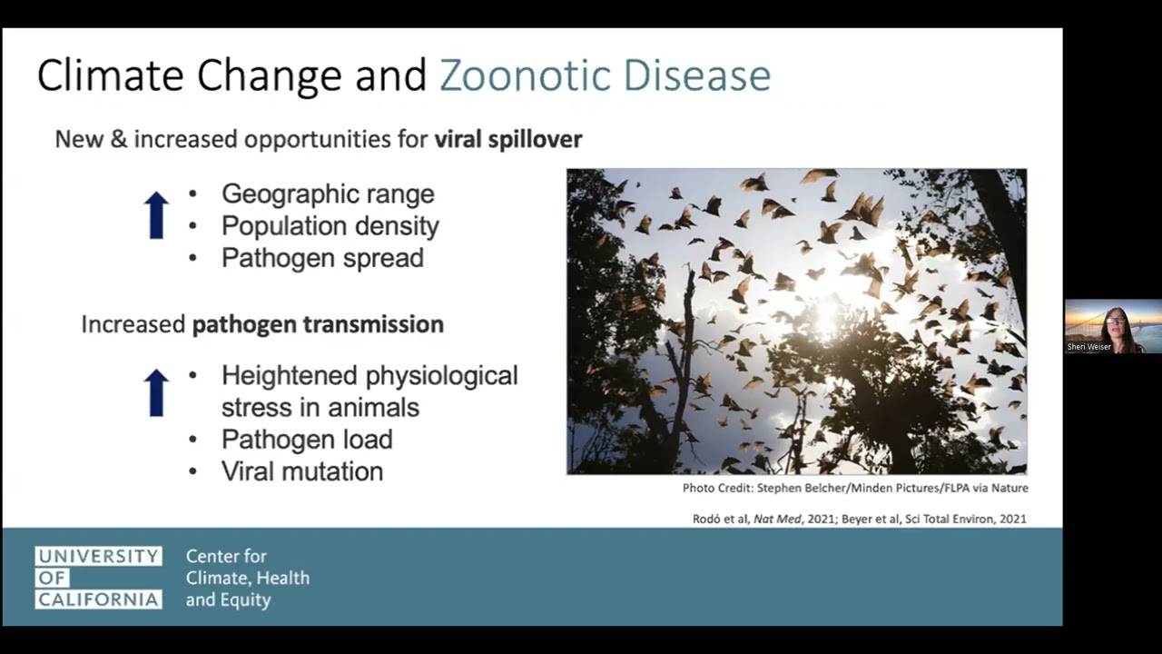 Infectious Diseases