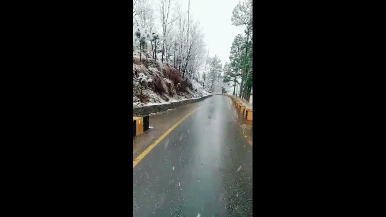 Today's murree ayuobia | snowfall murree 2021❄️🌨️🏔️