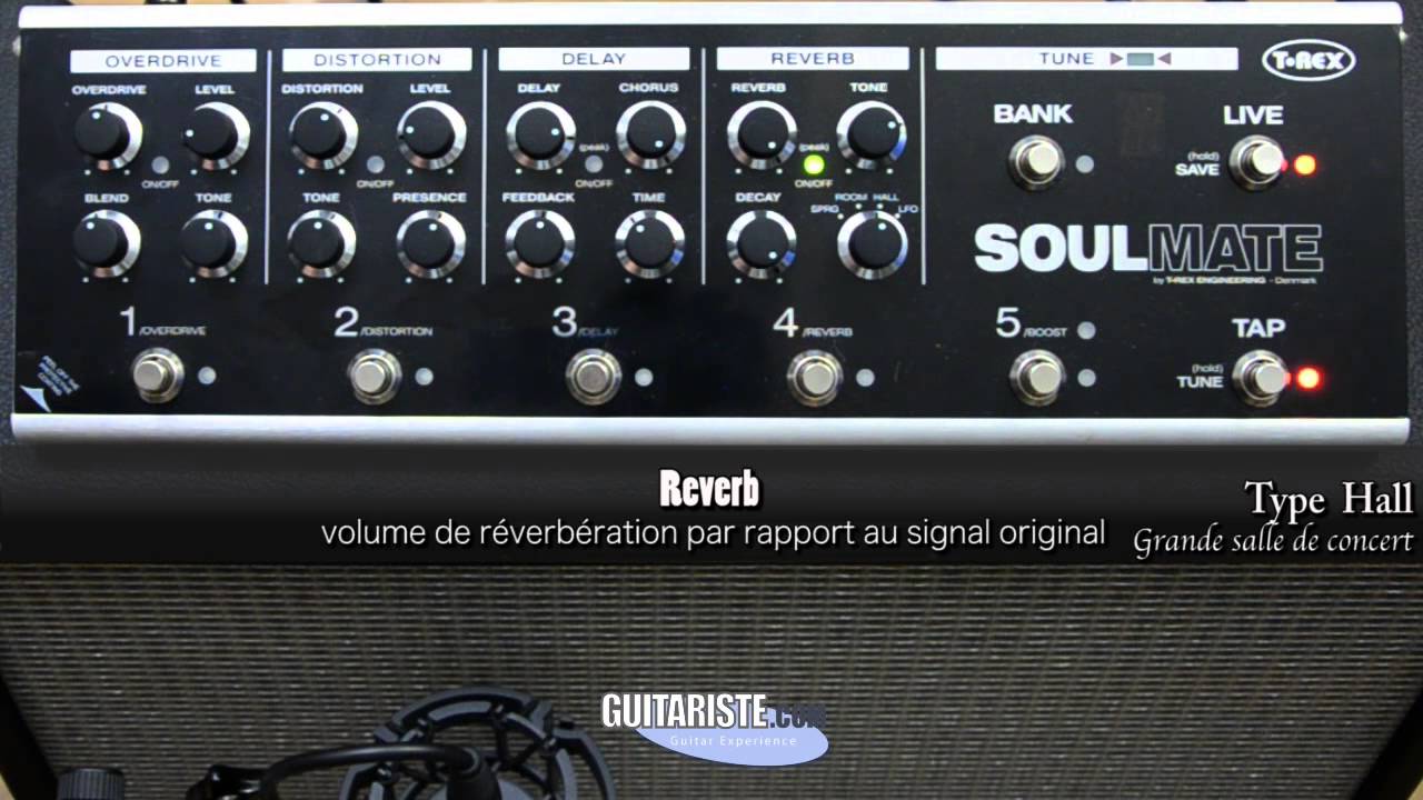 Test T-Rex - SoulMate