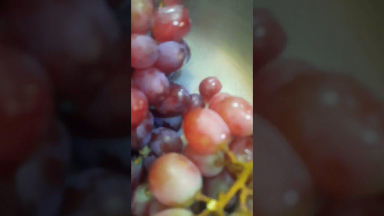 Fresh GRAPES 