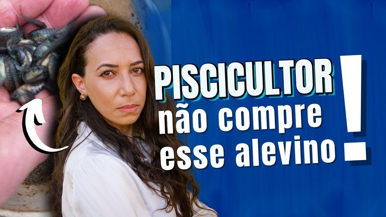 Como escolher os alevinos que dão melhor retorno financeiro para a piscicultura
