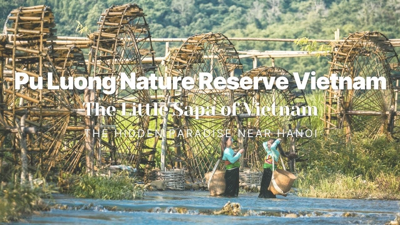Pu Luong Nature Reserve Vietnam &ndash; The Hidden Paradise Near Hanoi 🌿