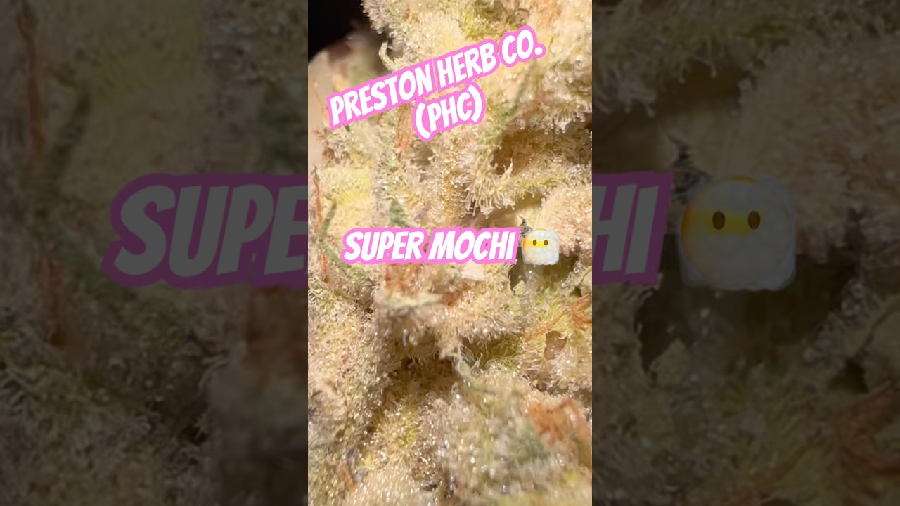 Super Mochi from Preston Herb Co. PHC #420community #subscribe #freetheplant #420