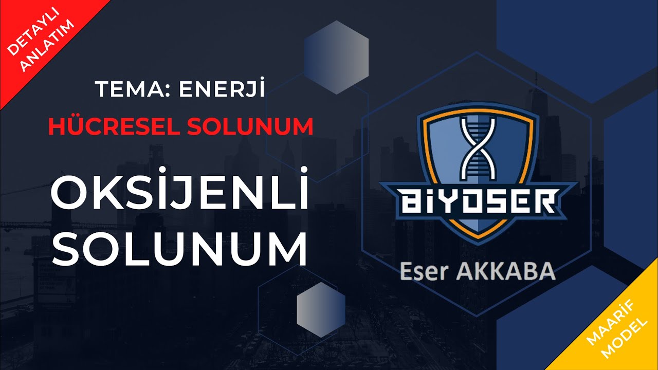 OKSİJENLİ SOLUNUM | TEMA: ENERJİ  | 10. Sınıf Biyoloji Detaylı Konu Anlatımı