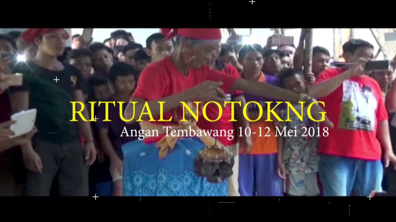 NOTOKNG