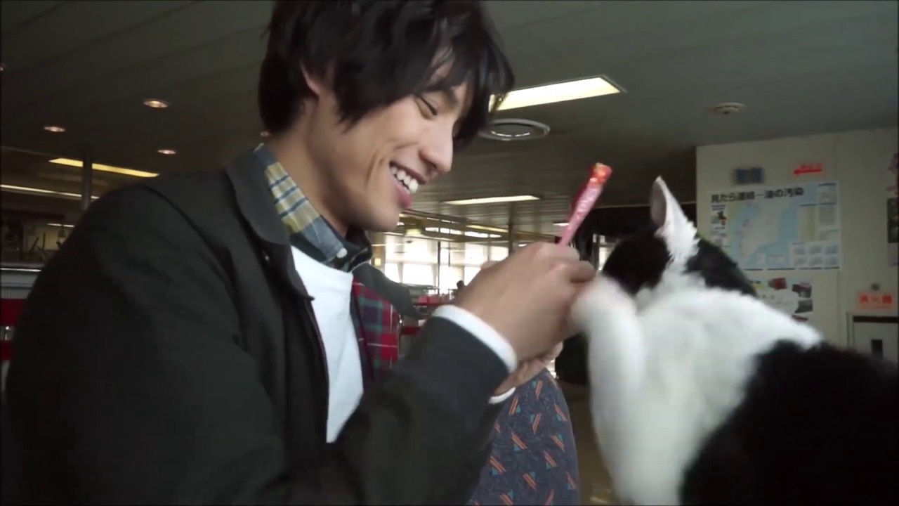 福士蒼汰が動物と戯れる『旅猫リポート』メイキング