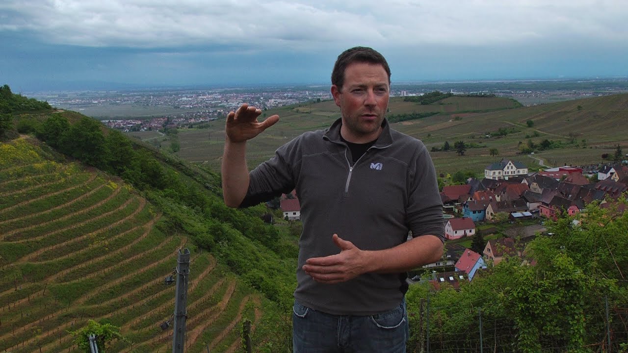 JAMESSUCKLING.COM - Alsace - Domaine Albert Boxler - Grand Cru Sommerberg