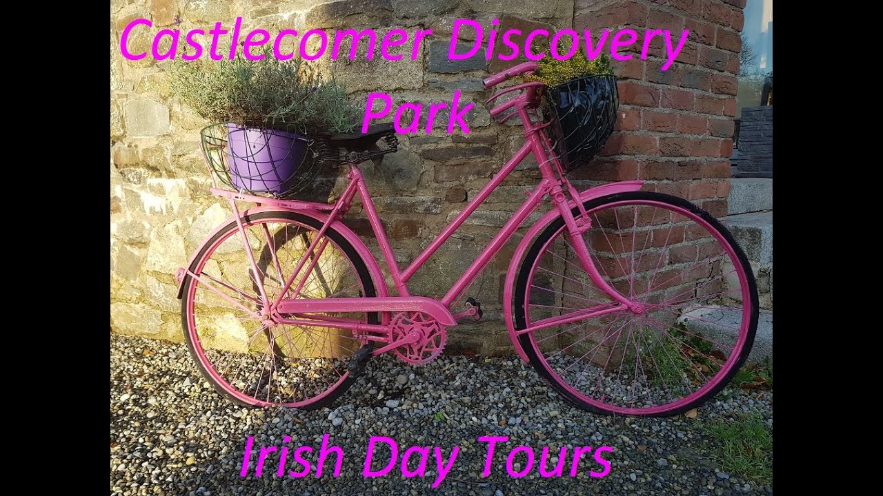Niezwykłe miejsca. Castlecomer Discovery Park. Irlandia.