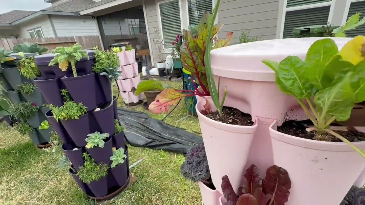 GreenStalk Garden Update.