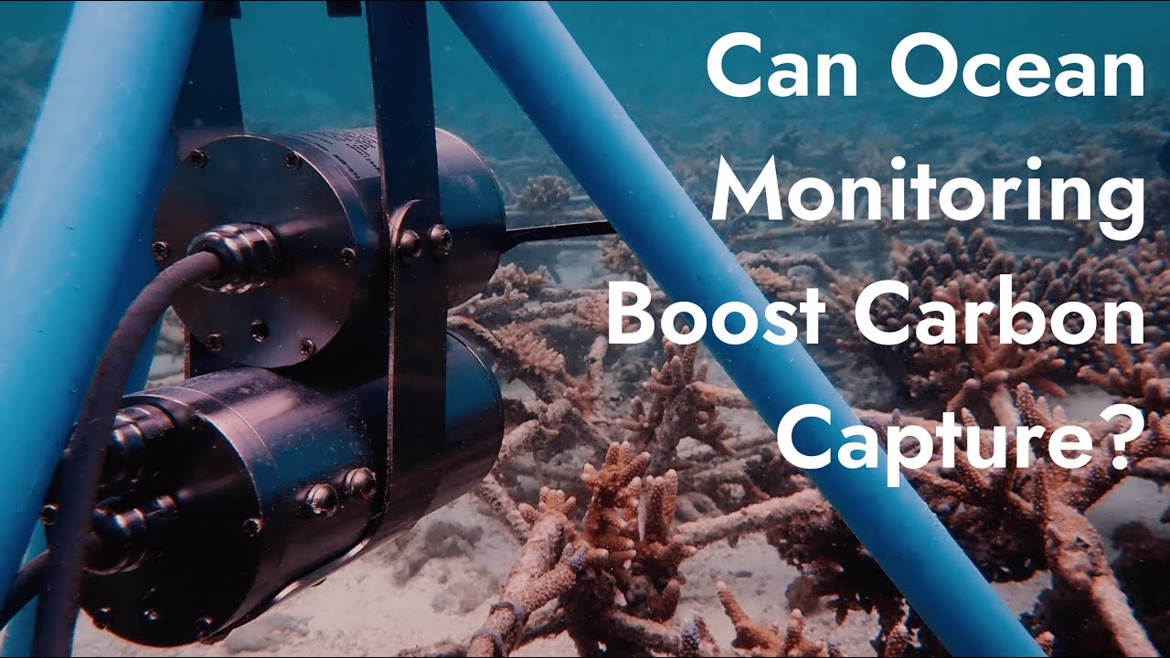 How Can Monitoring the Ocean Improve Carbon Capture Efforts?