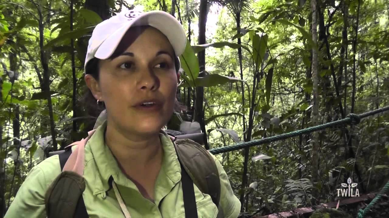 Central America — Costa Rican Ecotourism