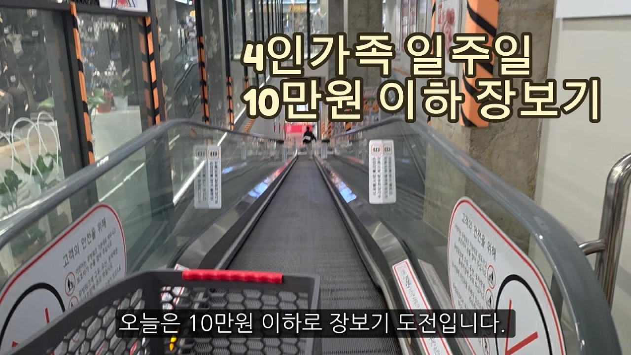 [일상노트] 4인가족 일주일치 10만원 이하로 장보기 성공??