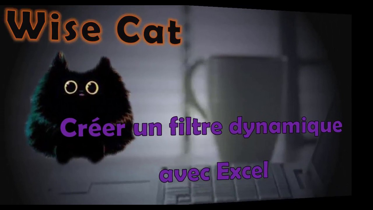 Cr&eacute;er un filtre dynamique avec Excel