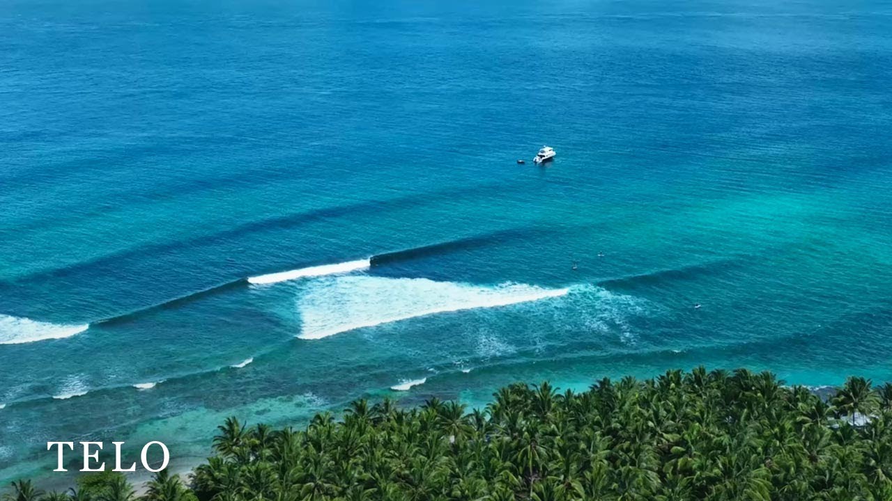 Surfing Telo | Bojo