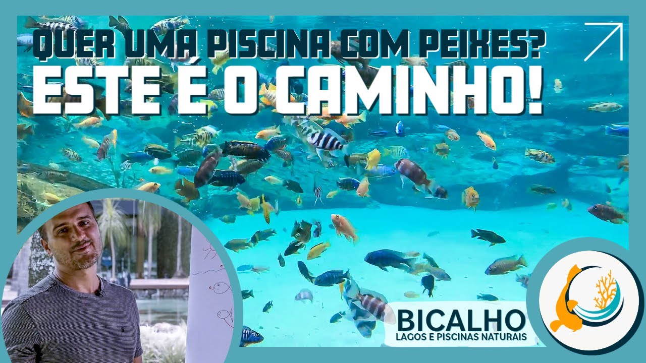 Quer uma piscina com peixes? Este é o caminho! | Lago na Prática | EP. 02