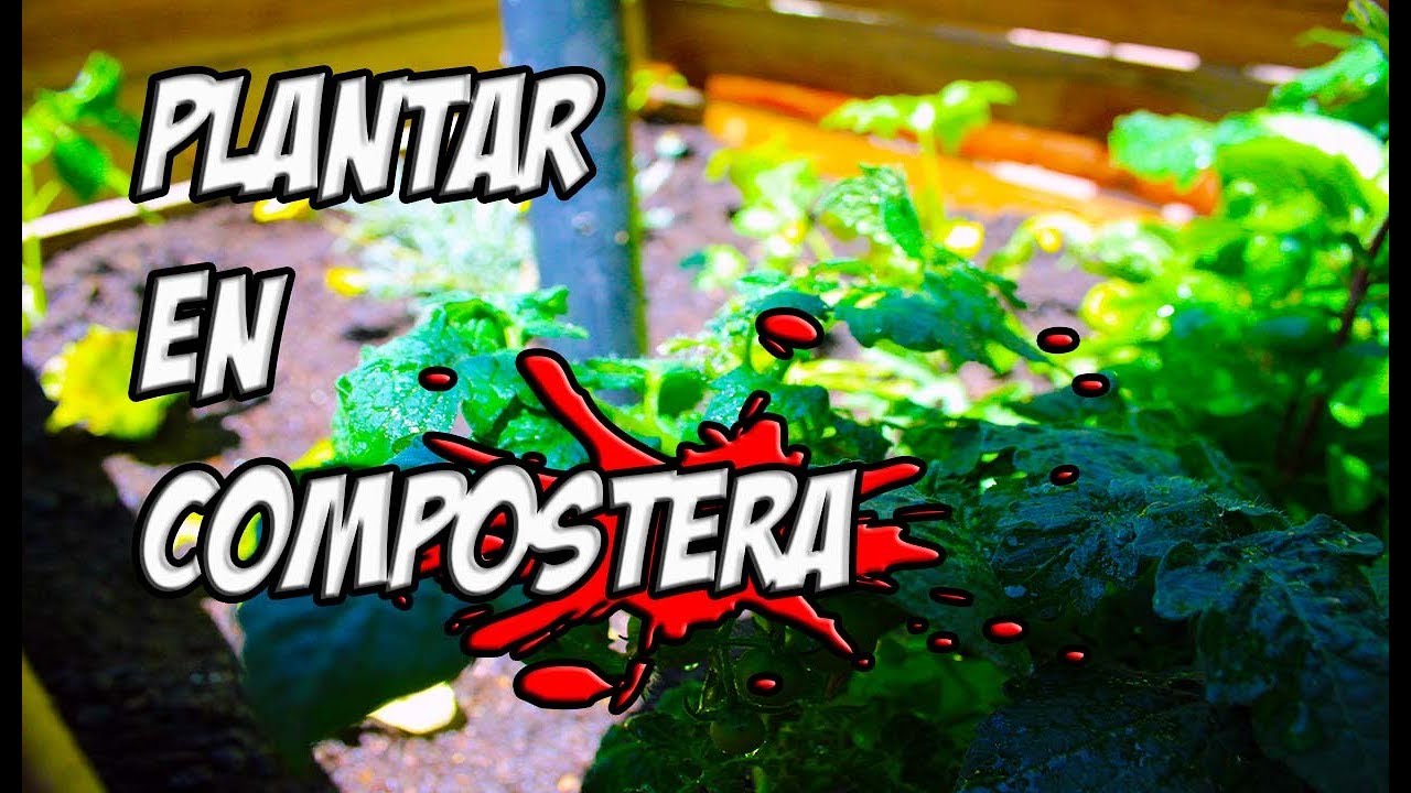 El Mejor Macetohuerto Que Jamas Has Visto || Como PLANTAR En Compostera || La Horteta De Bussy