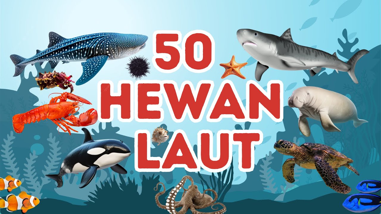 Belajar 50 Nama-nama Hewan Laut untuk Anak-anak | Mengenal Nama-nama Ikan Laut | Video Edukasi Anak
