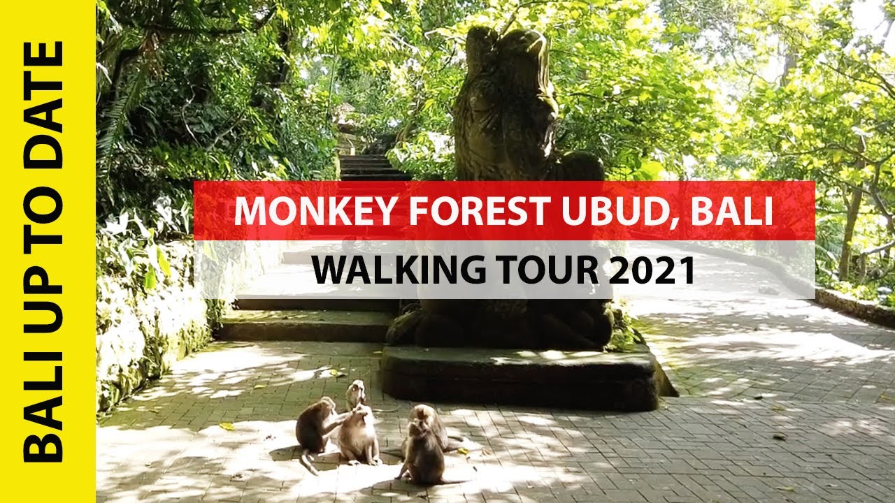 Monkey Forest Ubud, Bali - Walking Tour 2021