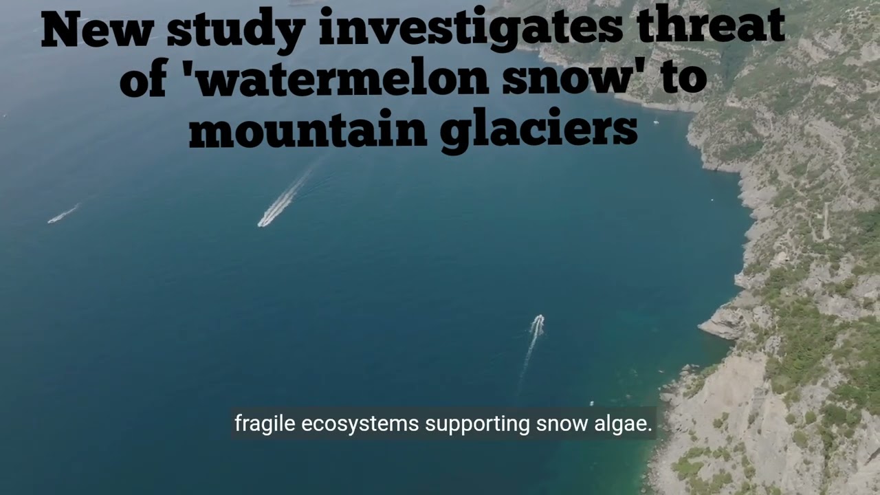 New study investigates threat of 'watermelon snow' to mountain glaciers