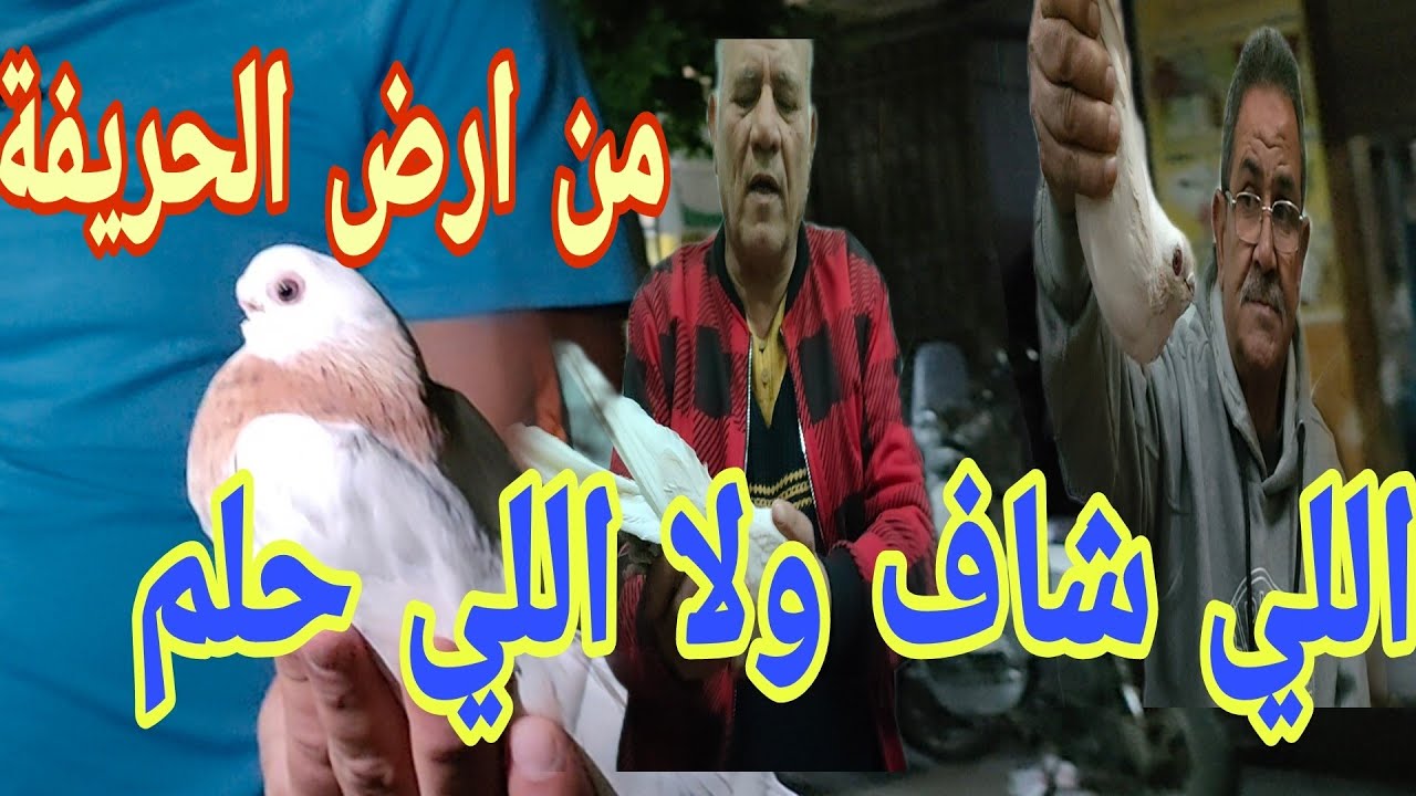 بالأدلة والبراهين#محمدالعربي