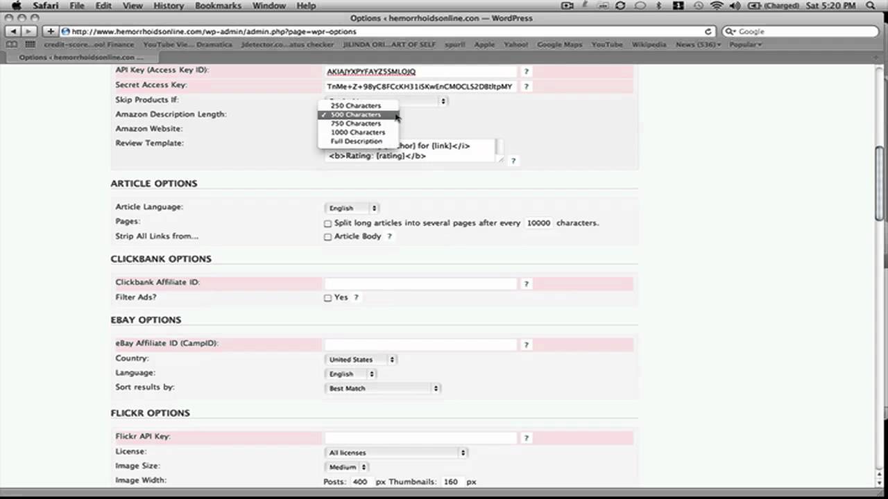 How To Install The Wordpress Plugin Wp Robot