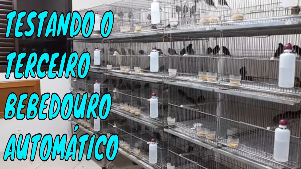 TESTANDO O TERCEIRO BEBEDOURO AUTOMÁTICO.