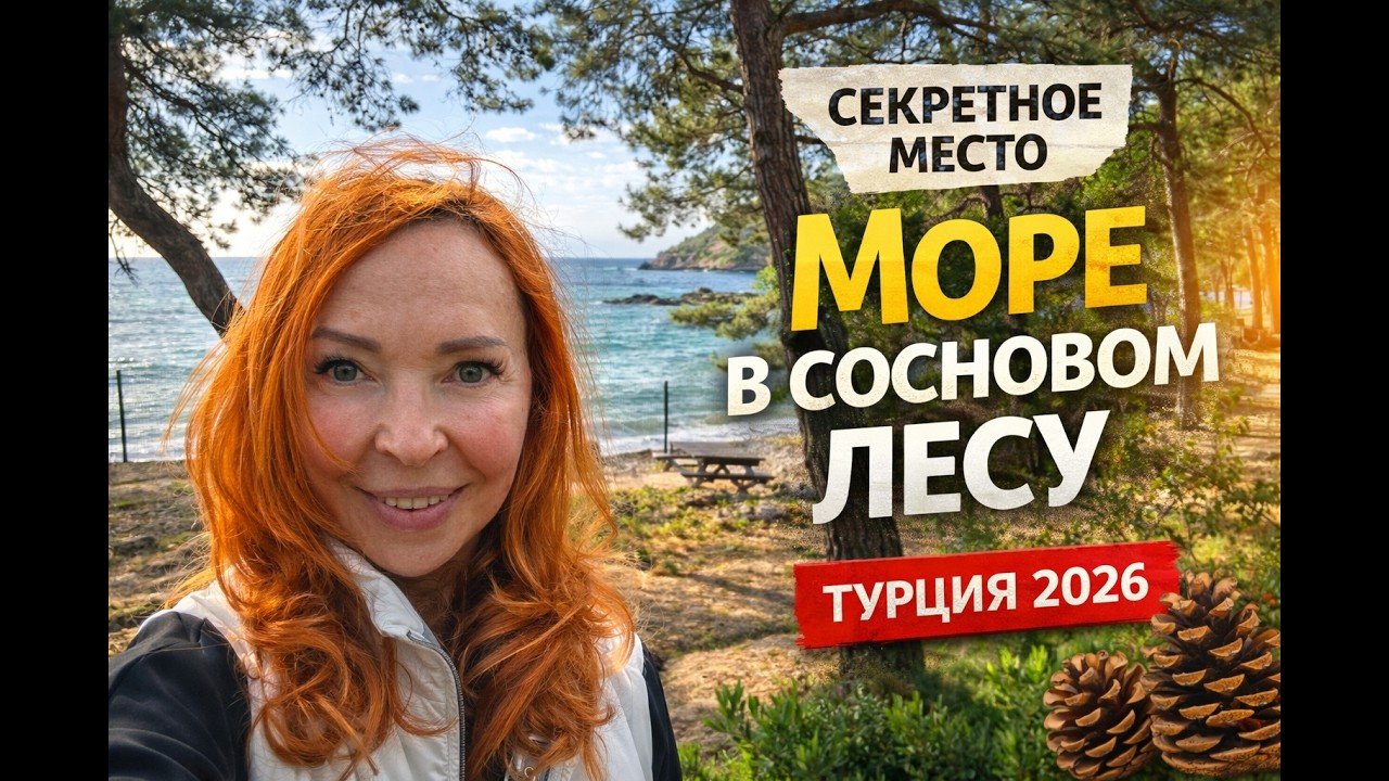 👉 Уникальное место в Алании: пляж прямо в сосновом лесу