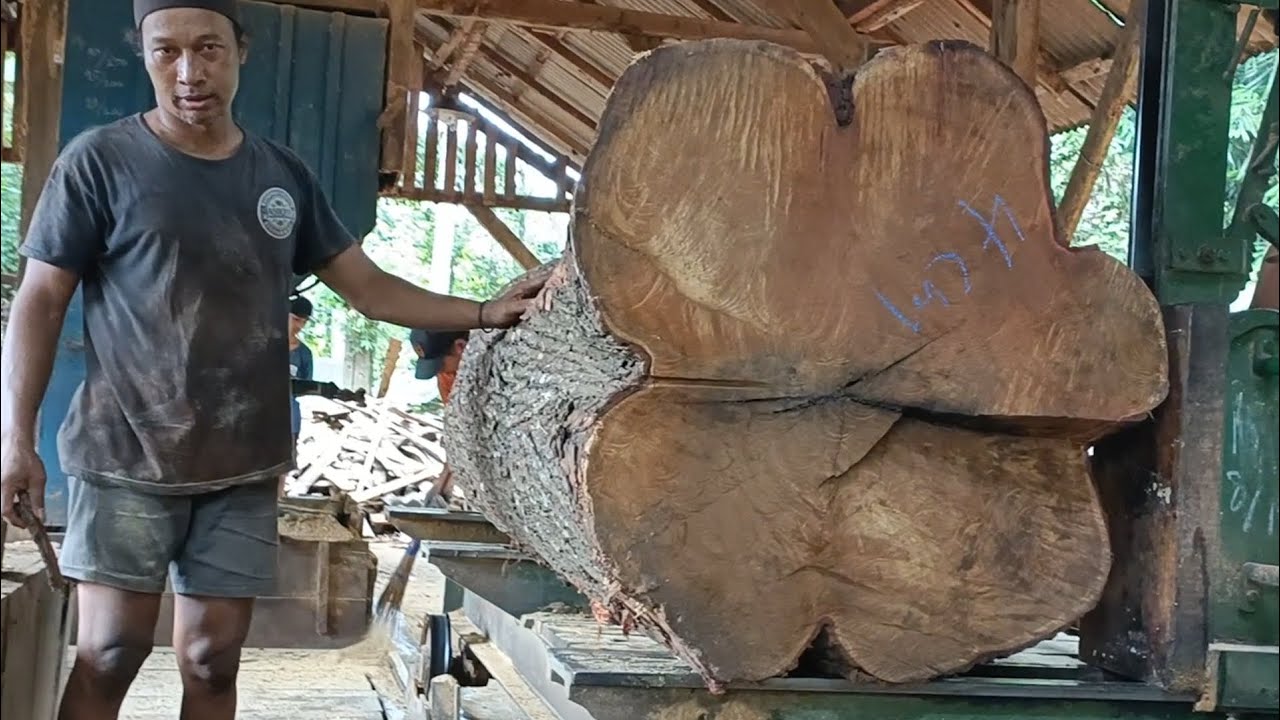The genius sawmill of an operator who amazes with clever tricks and skills || Tree stump  
