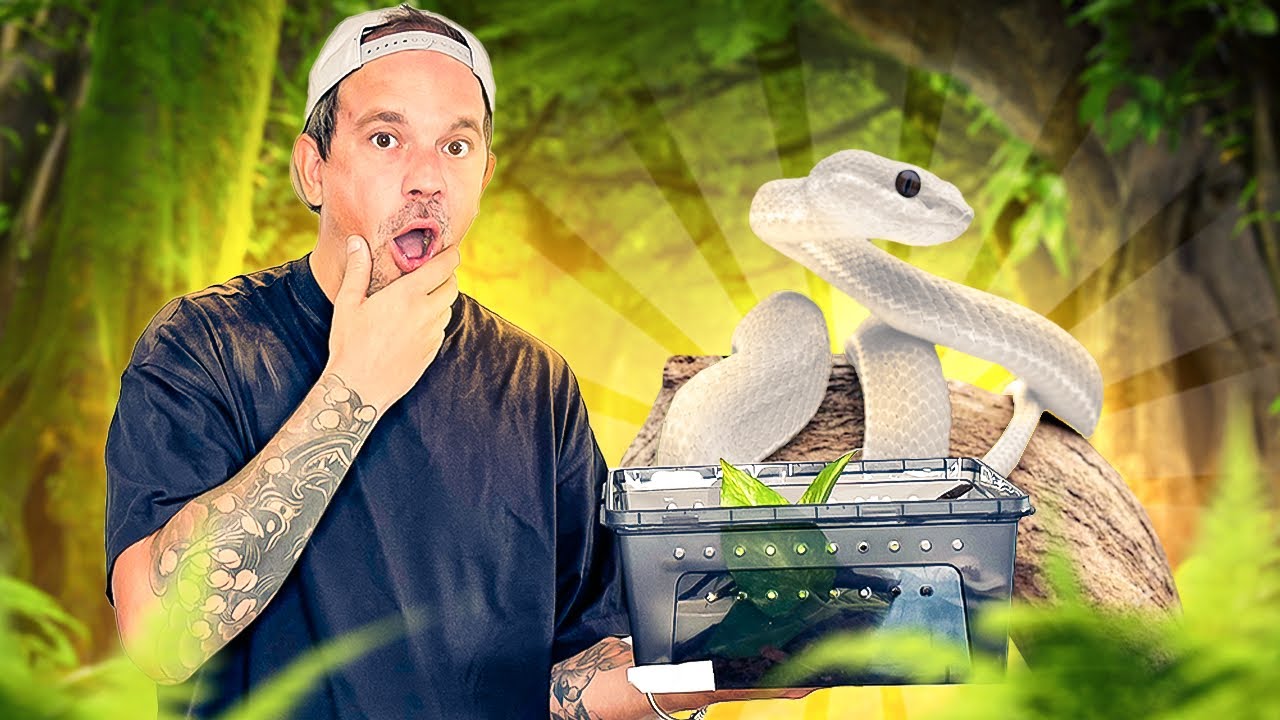 J’AI ACHETÉ  UN ANIMAL DANGEREUX 🥵 ! ( et unique je crois ) - TOOPET