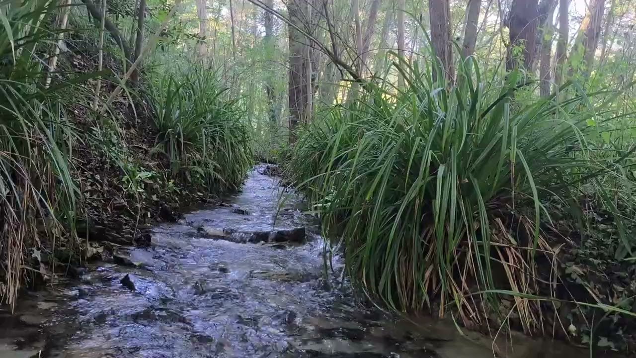 SONIDO DE AGUA FLUYENDO PARA DORMIR