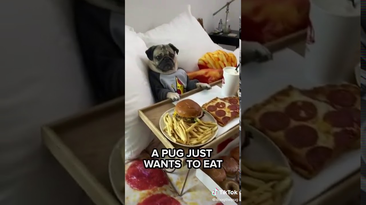 wap weird ass puggies