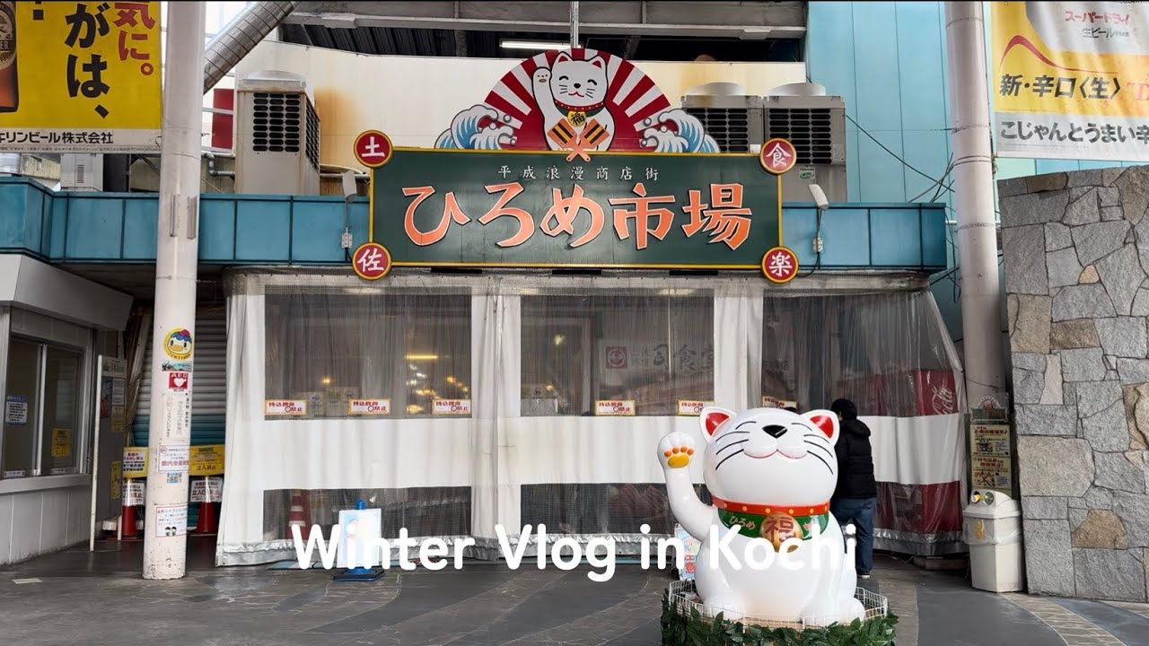 【❄️Winter Vlog in Kochi🌊】カツオのたたきとカフェで読書📖☕️