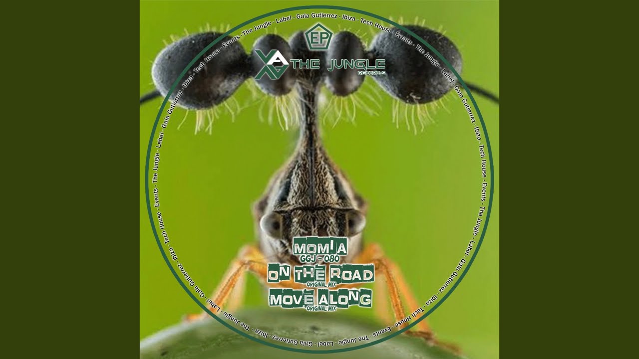 Move Along (Original Mix)