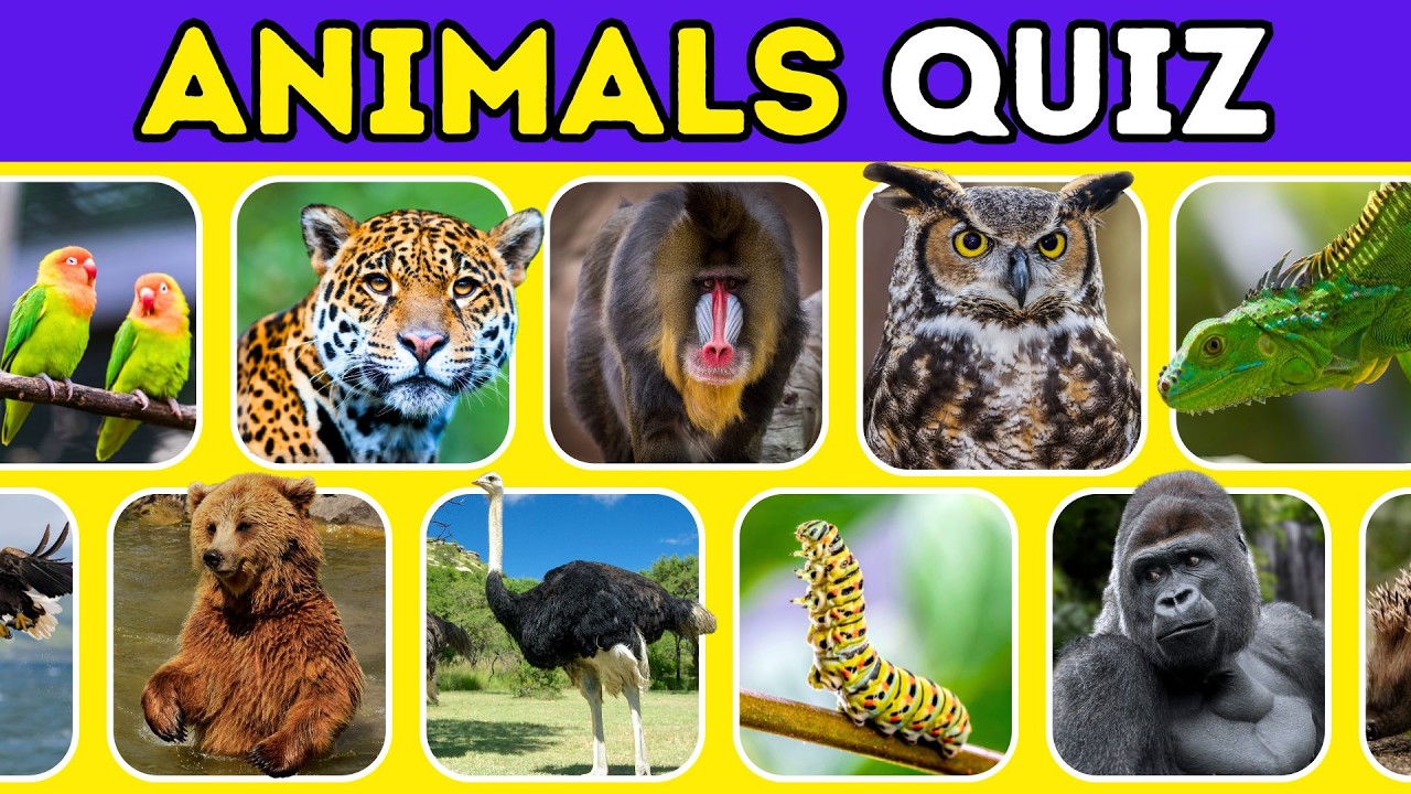 The Ultimate ANIMALS Quiz! 25 Multiple Choice Questions for Animal Lovers 🦁