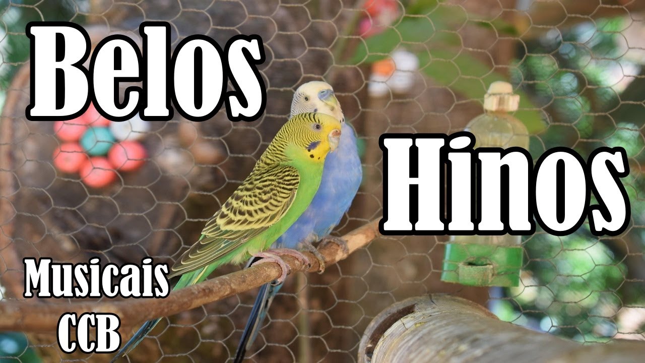 BELOS HINOS CCB CANTADOS -  Musicais CCB -  25/12/2025 - 110,120,150,155,165,175.....