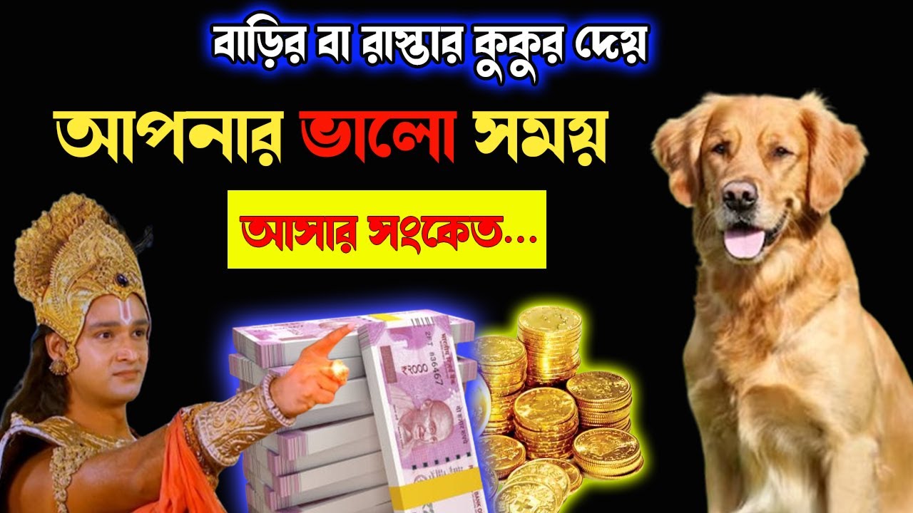 কুকুরের এই শুভ সংকেত গুলি সম্বন্ধে জানুন | Good signs of a dog | Vastu Shastra