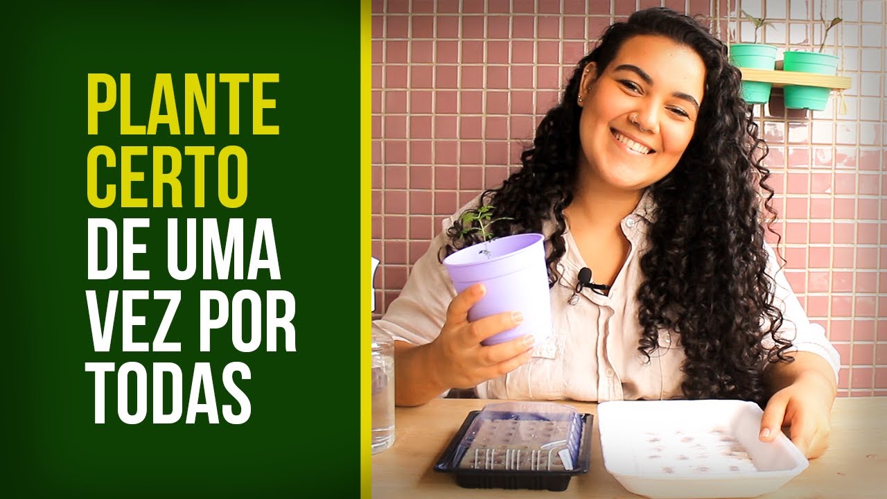 COMO PLANTAR JACARANDÁ MIMOSO I MAIS FLORESTA