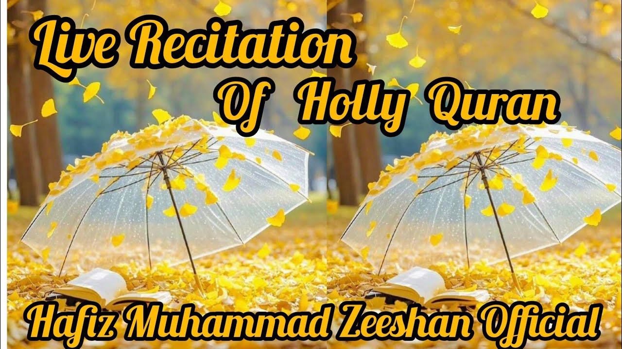 Hafiz Muhammad Zeeshan Official  is live!